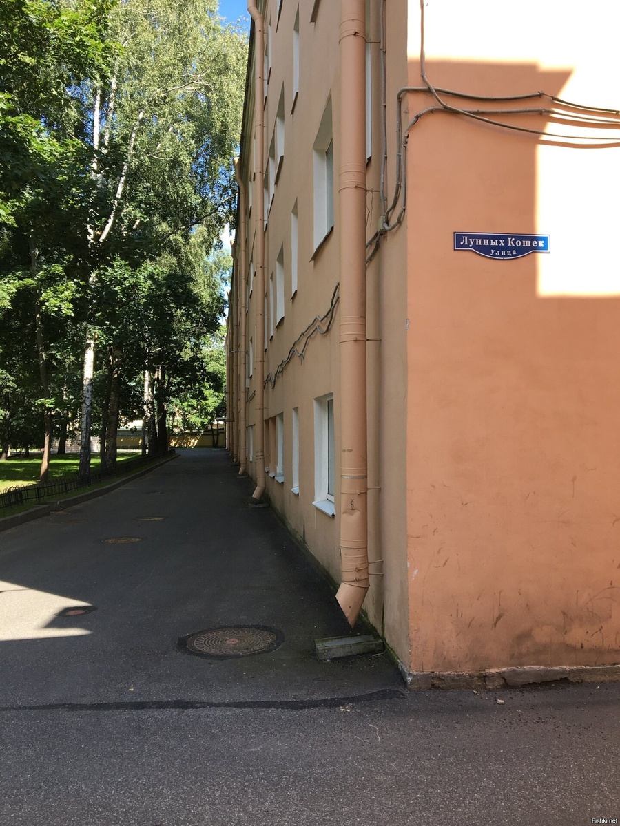 Источник: интернет, Яндекс картинки. 