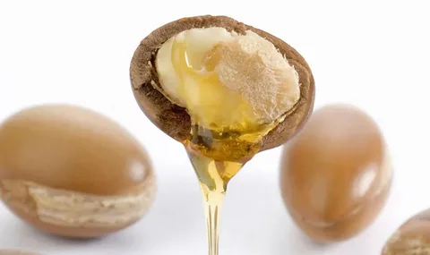 * изображение из открытого интернет-источника