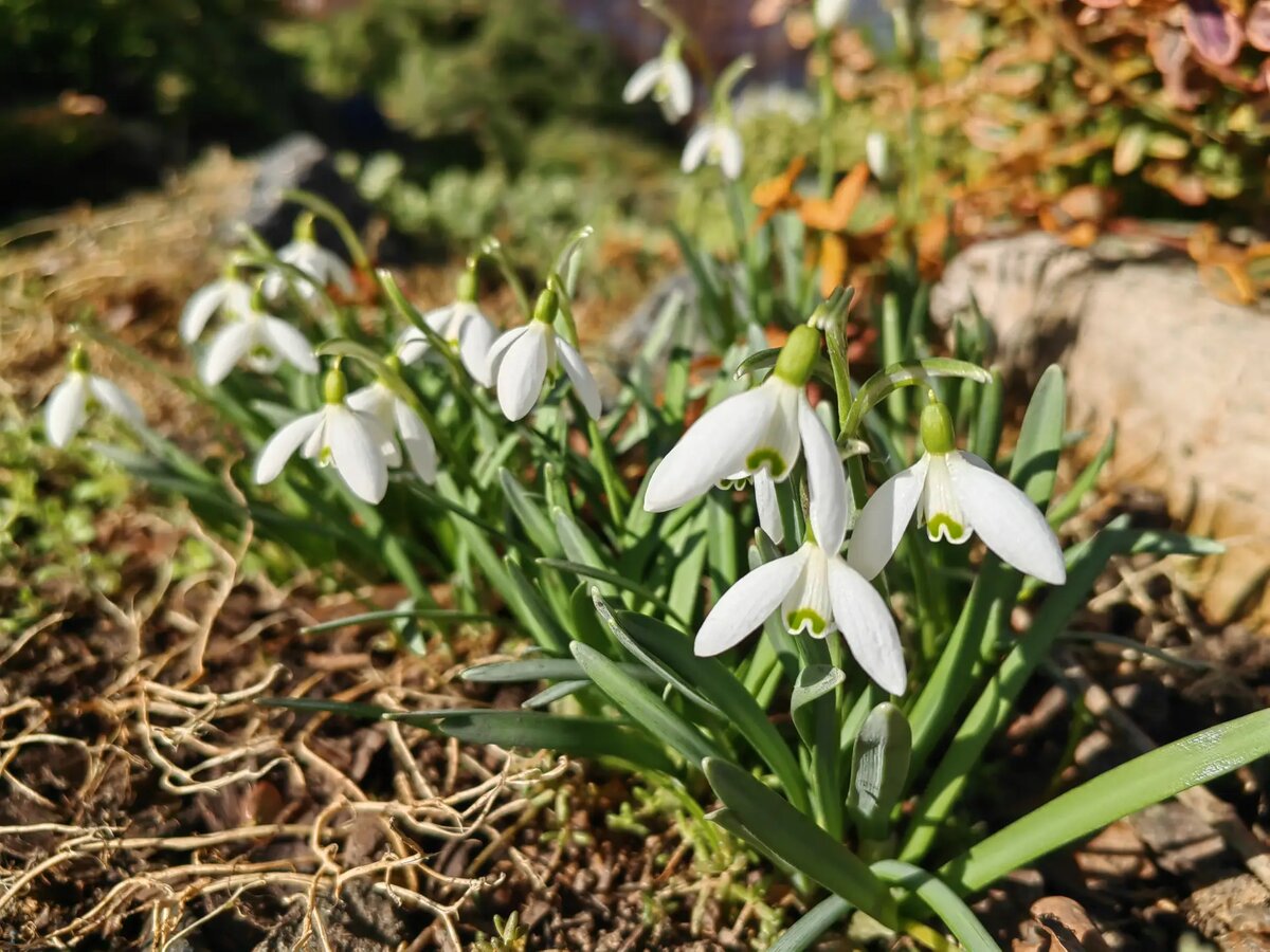     © "Интерфакс". Марина Леонова