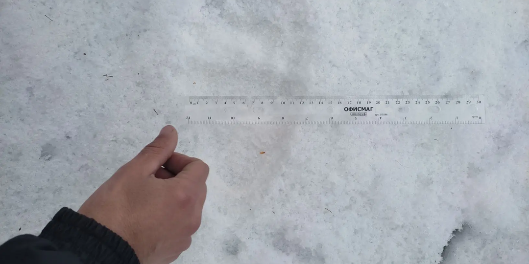 СРОЧНО: в Забайкальском национальном парке проснулись бурые медведи!