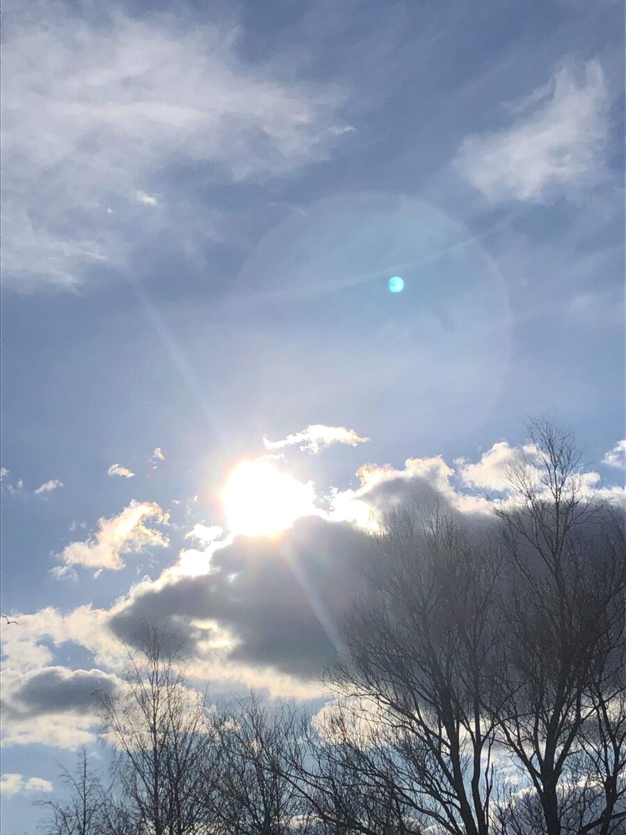 Крокодил в небе солнце проглотил!!!!!!