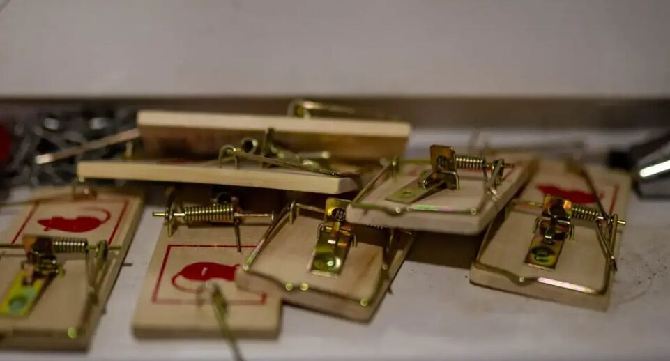    REGIONS/Владимир Ерастов