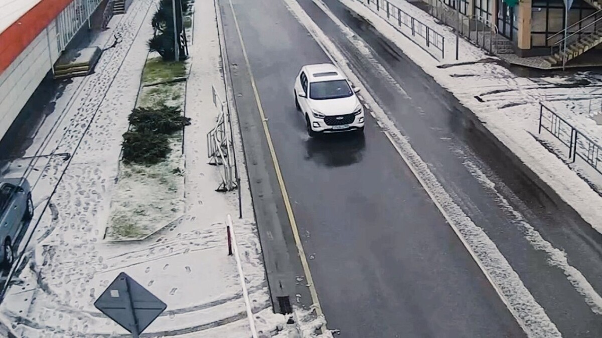    Фото: скрин с видео