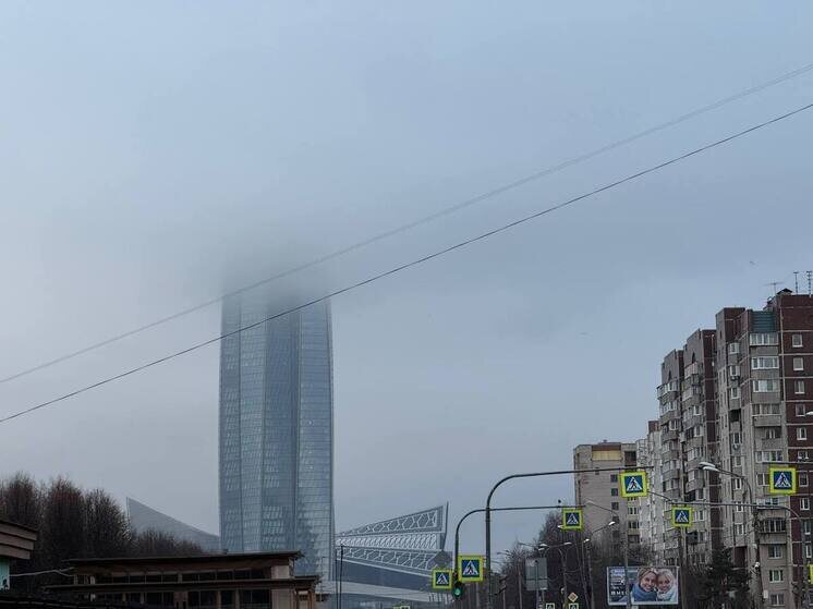     Предприятия обязаны сократить выбросы. Фото: архив "МК в Питере"