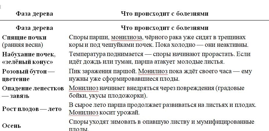 Таблица и фото Натальи Мироновой