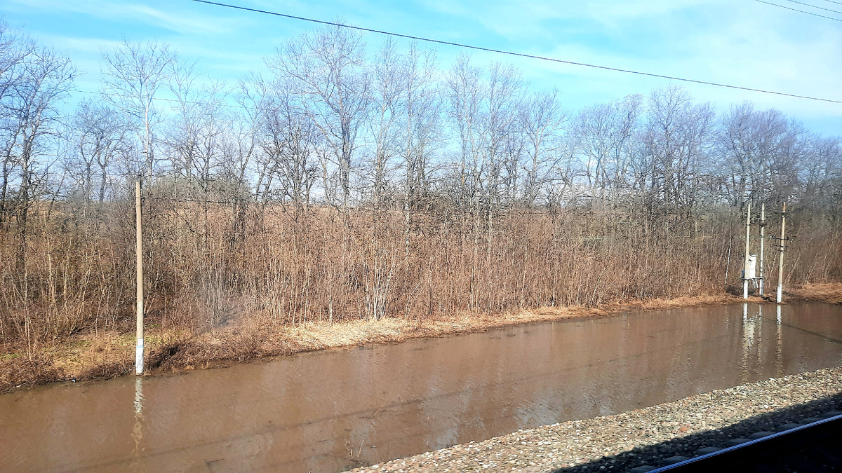 Фото автора из окна электрички.
