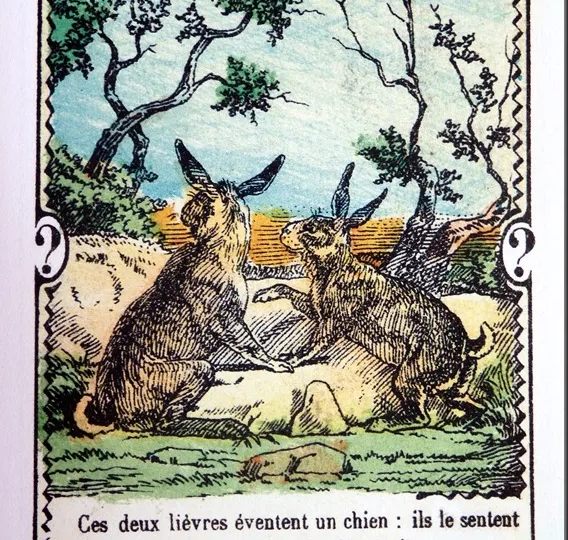 С вашим мозгом всё в порядке, если вы видите собаку