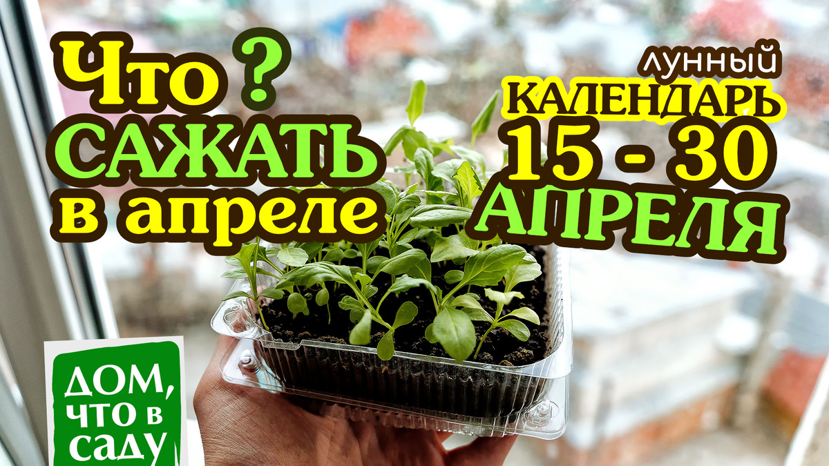 Дом, что в саду