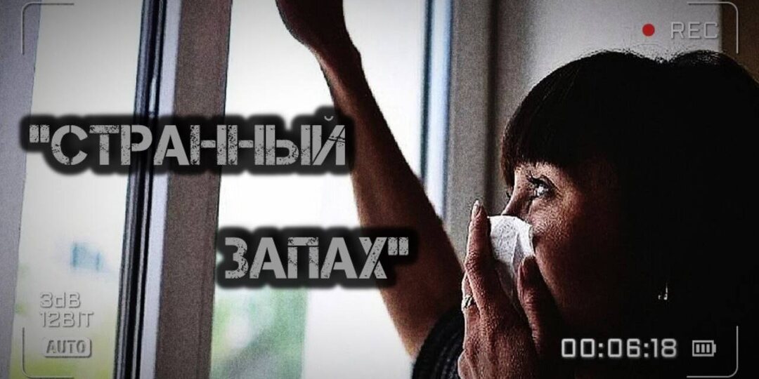 ‎Следы пропавшей нашли только через 12 лет, а тело было совсем рядом...