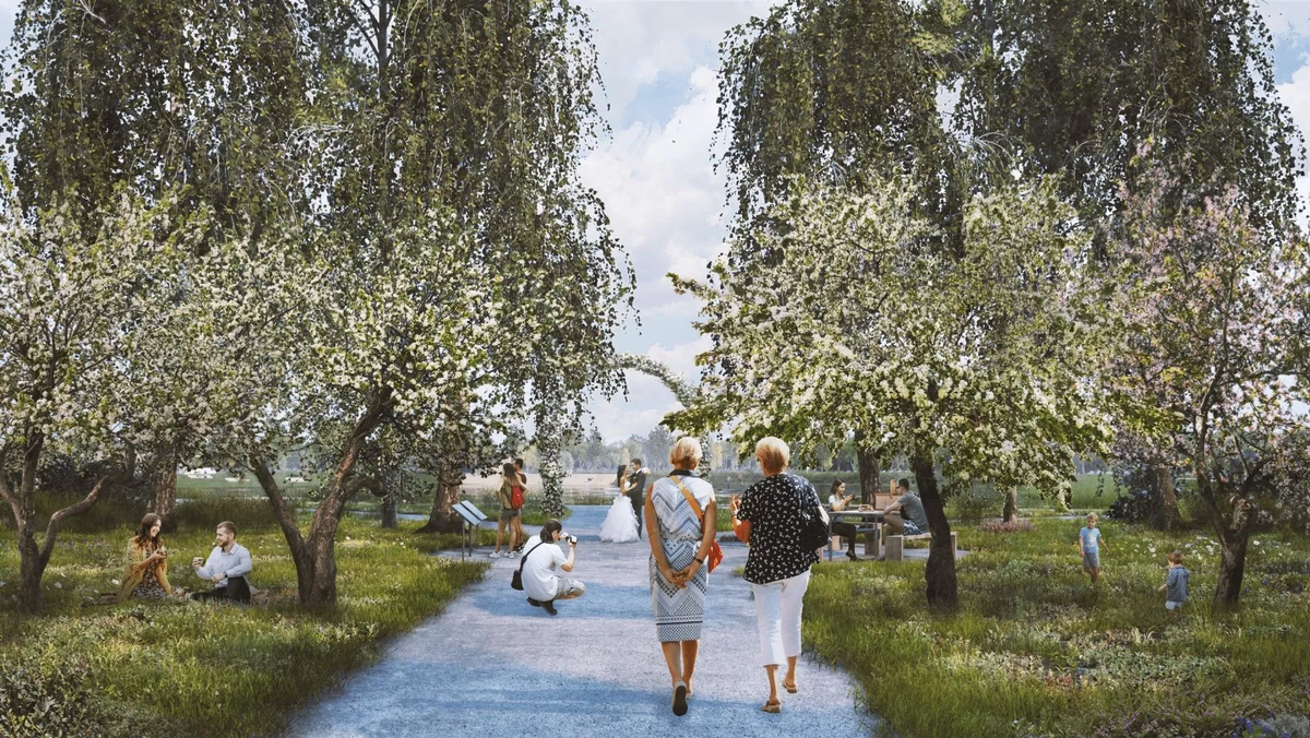 Листайте вправо, чтобы увидеть больше изображений