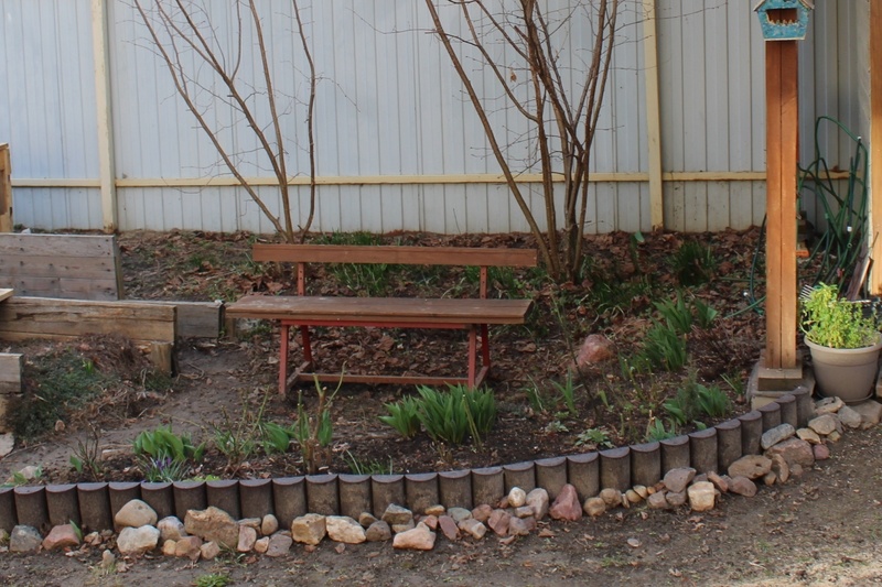 Это вид розария и скамейки, за которой и выскочили цветы