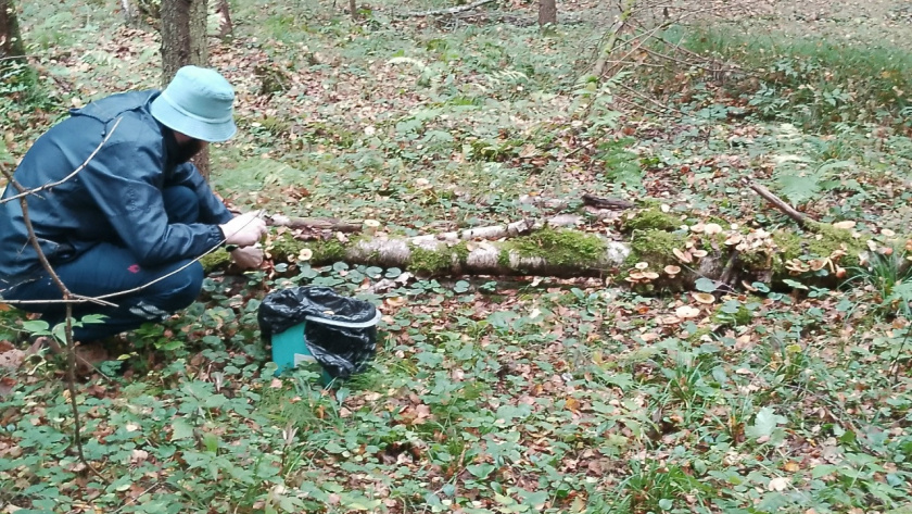    Фото: Мария Максимова