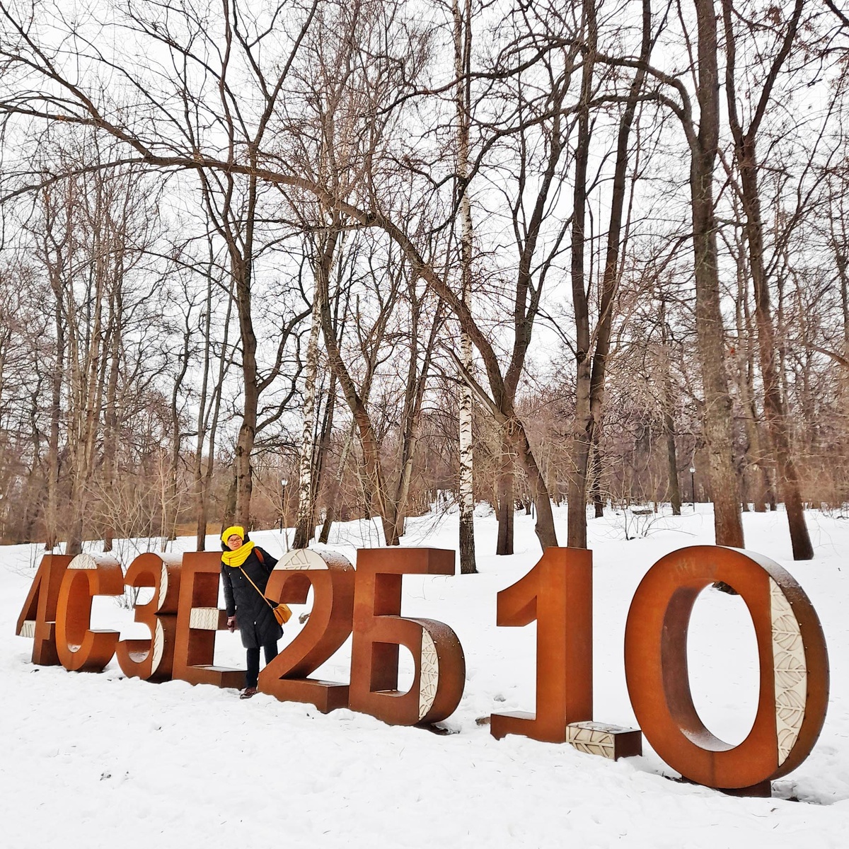 Формула карельского леса - четыре сосны, три ели, две березы и одна осина. Арт-объект стоит недалеко от Онежской набережной в городе Петрозаводске. Фото автора.