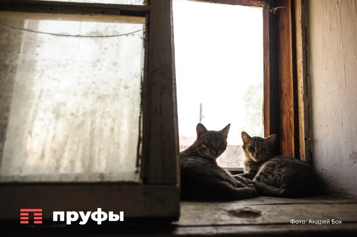    Пруфы.рф
