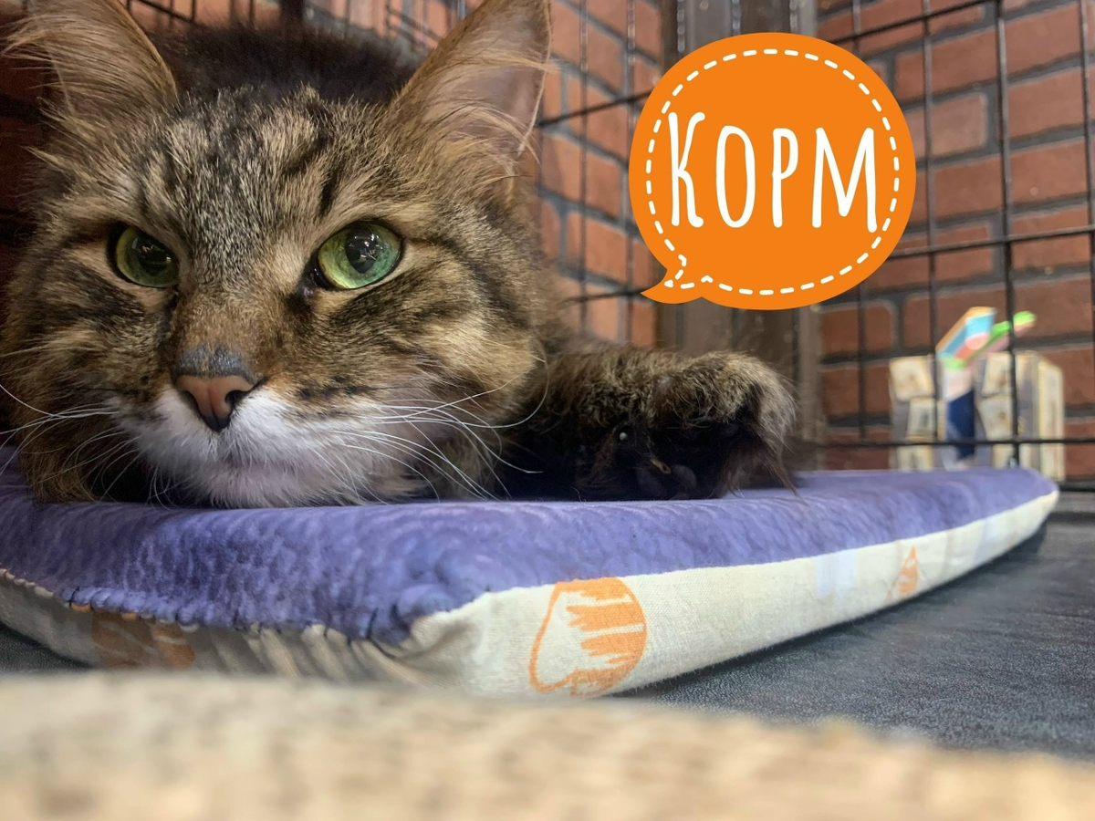 Нам очень нужна влажечка.