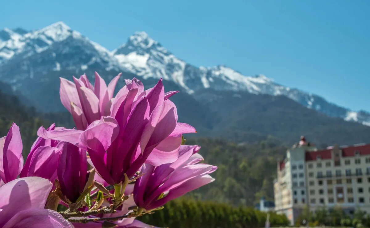    Анапа забирает туристов у Сочи на майские праздники