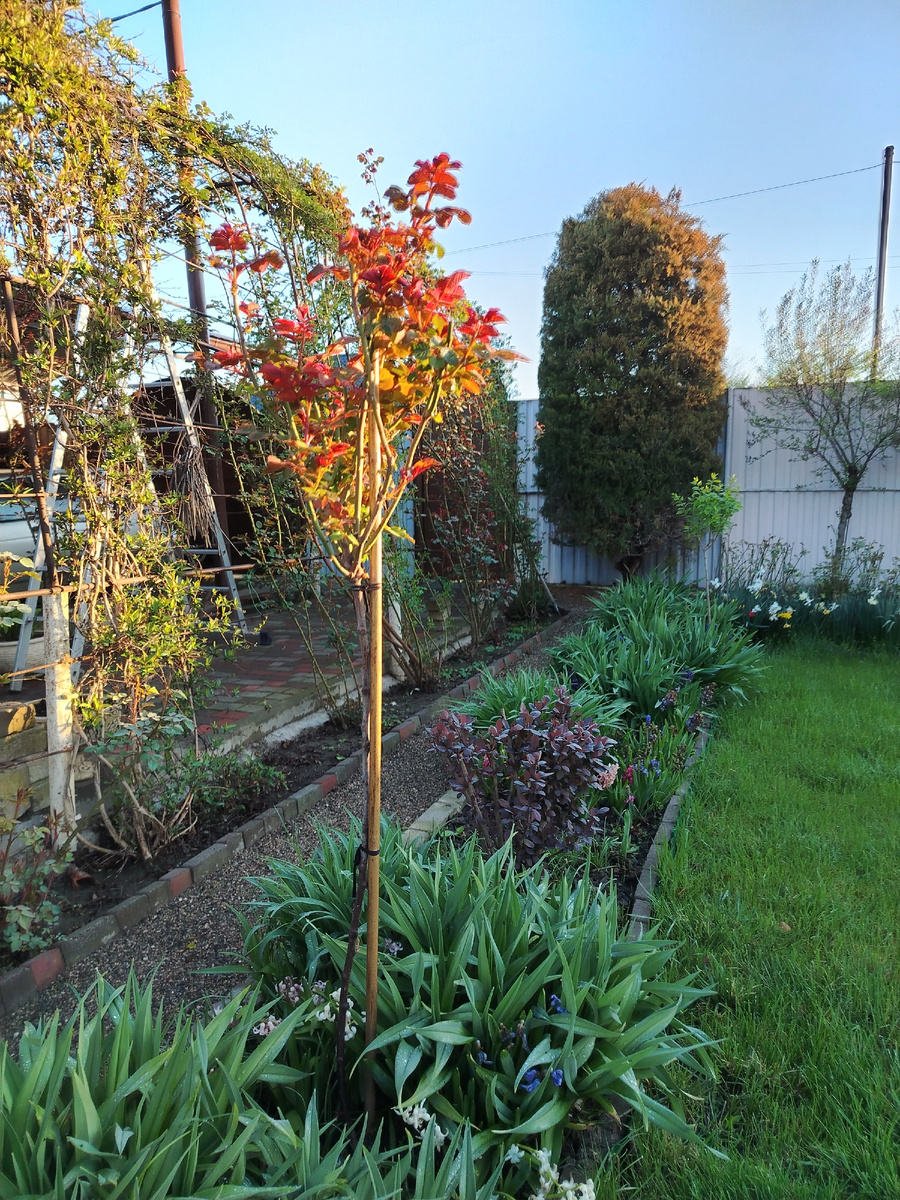 Очень раннее утро. 