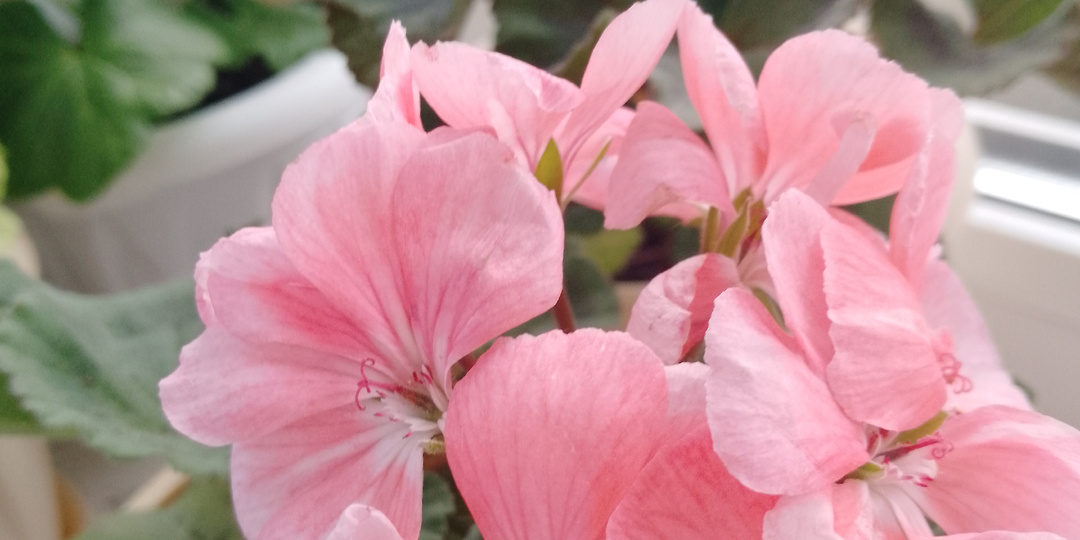 Будни в ненастье