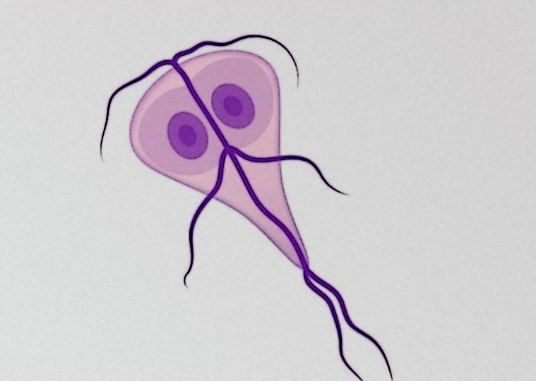 Лямблиоз можно избежать: Простые шаги к защите вашего здоровья