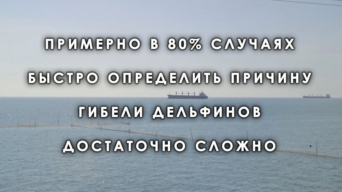   kubanpress.ru