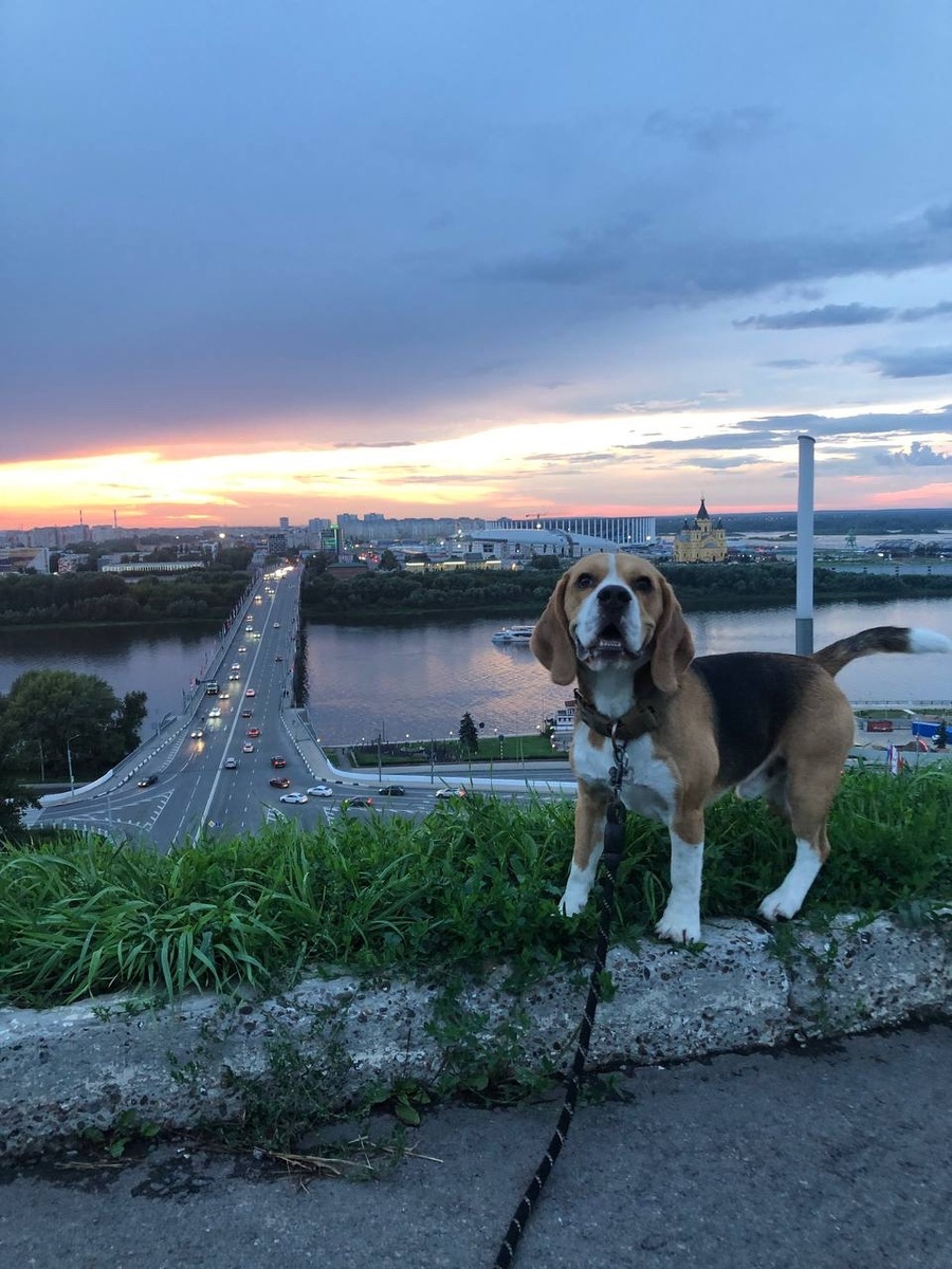Солод на своей малой родине