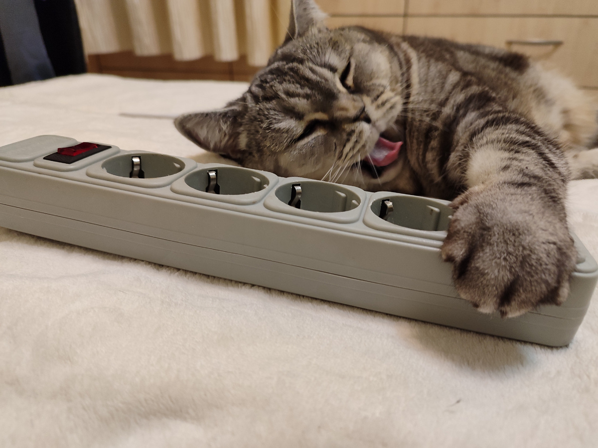 моя прелесть 