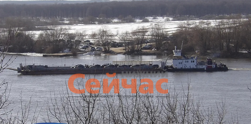    Фото: администрация Павловского муниципального округа Иван Воробьев