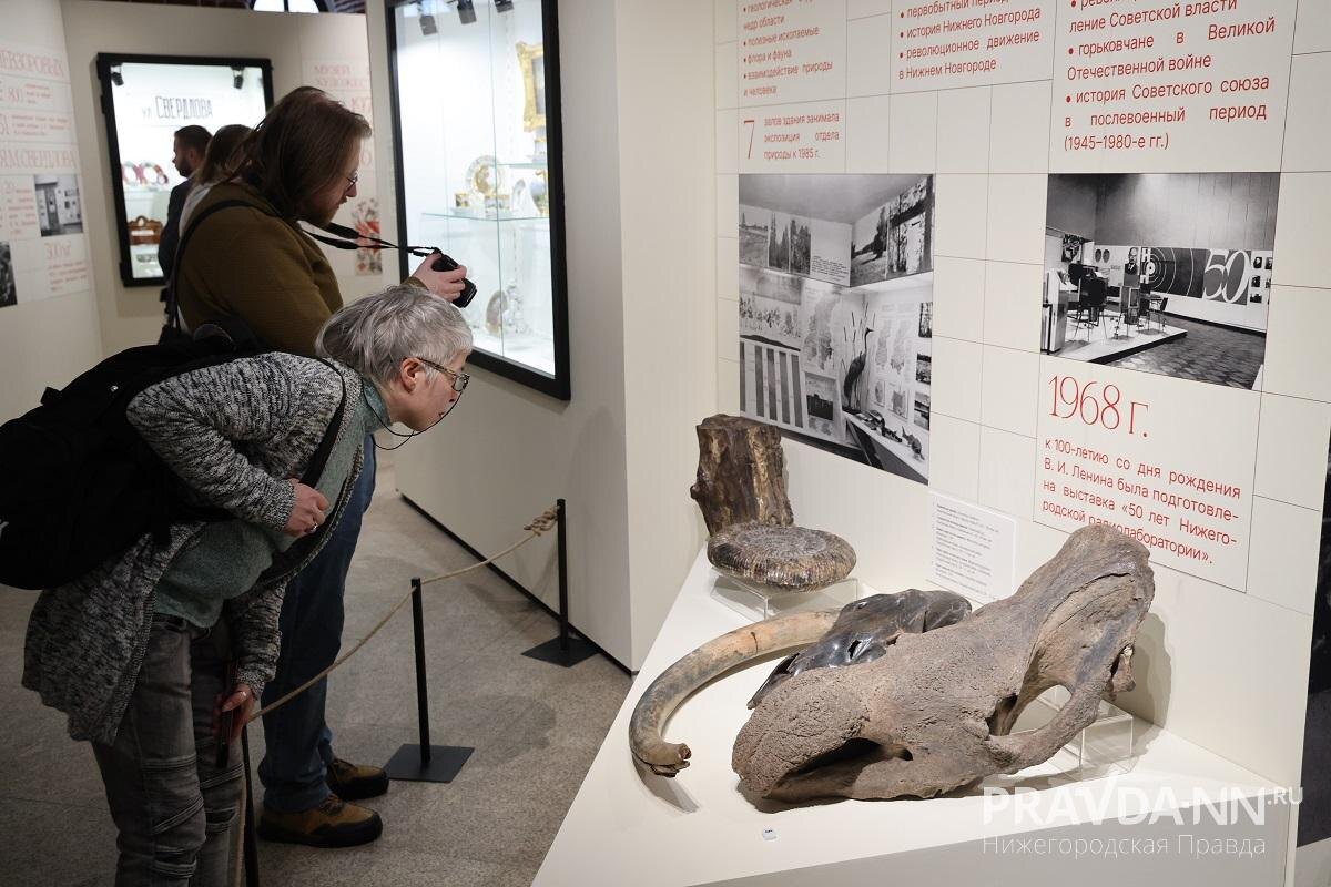    Окаменелости и останки шерстистых мамонтов и носорогов всегда привлекают зрителей