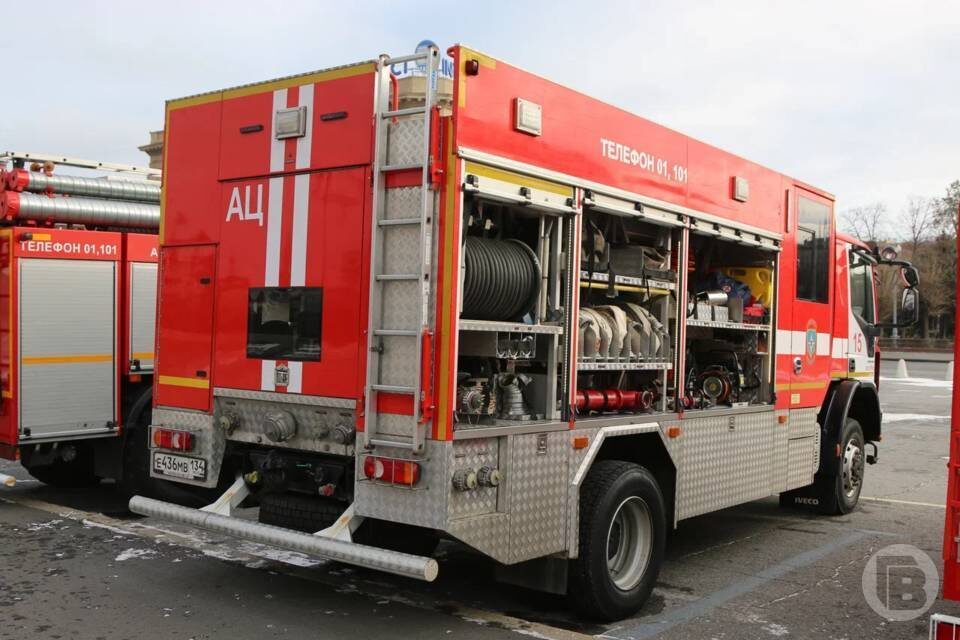    Фото: Матвей Горбунов / "Городские вести"