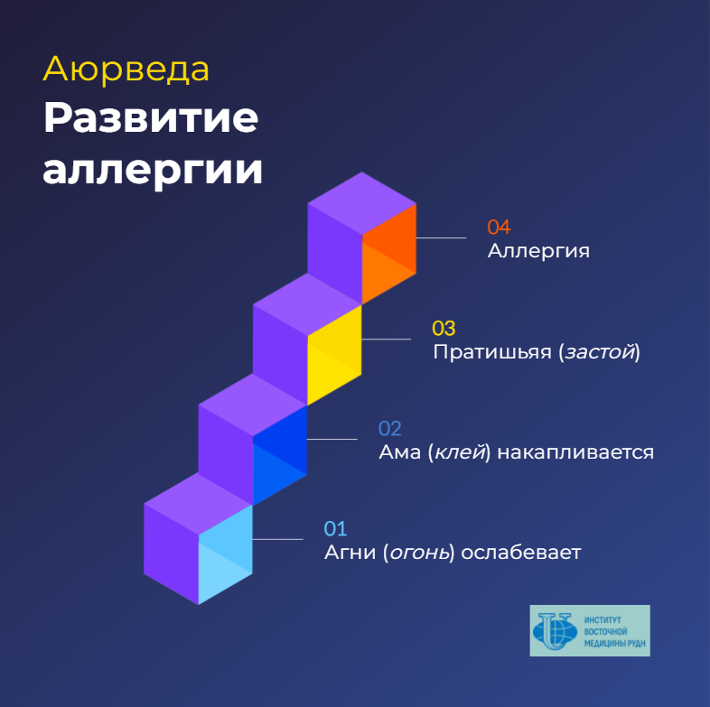 Стадии развития аллергии и многих других заболеваний.