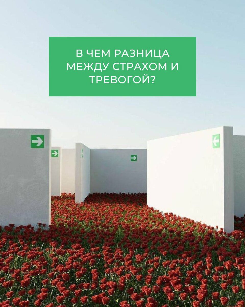 коллаж автора