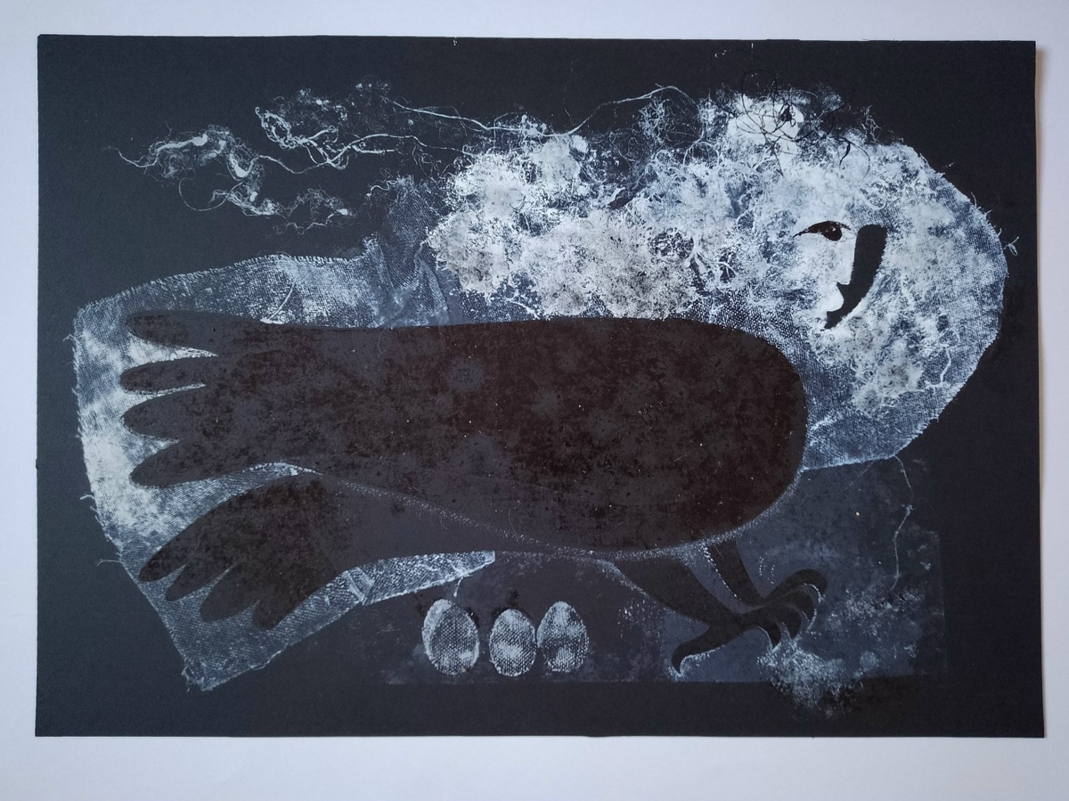    соцсети Елены Зеленовой