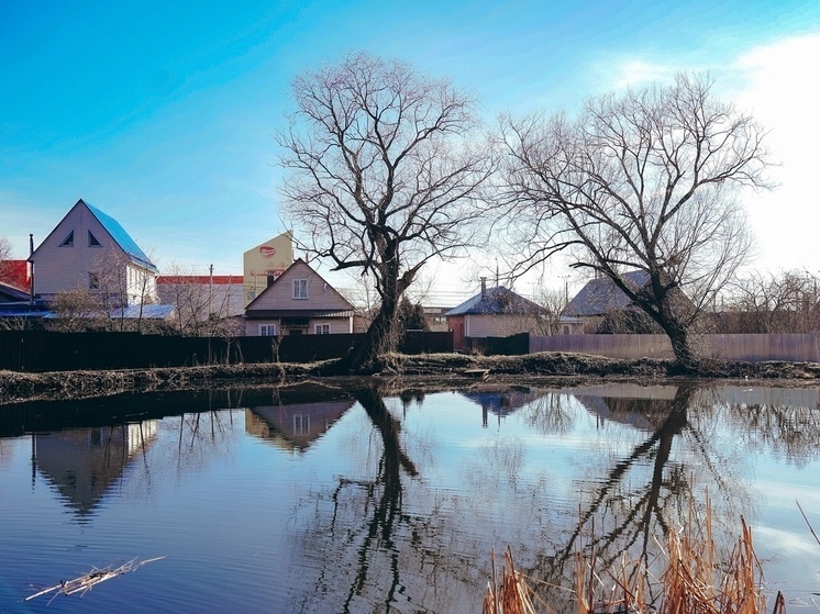    Фото: Светлана Мулыкина