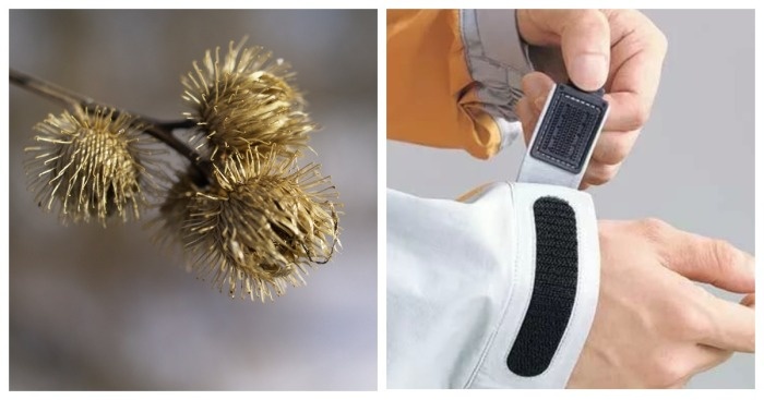 Ещё одна картинка-пример.