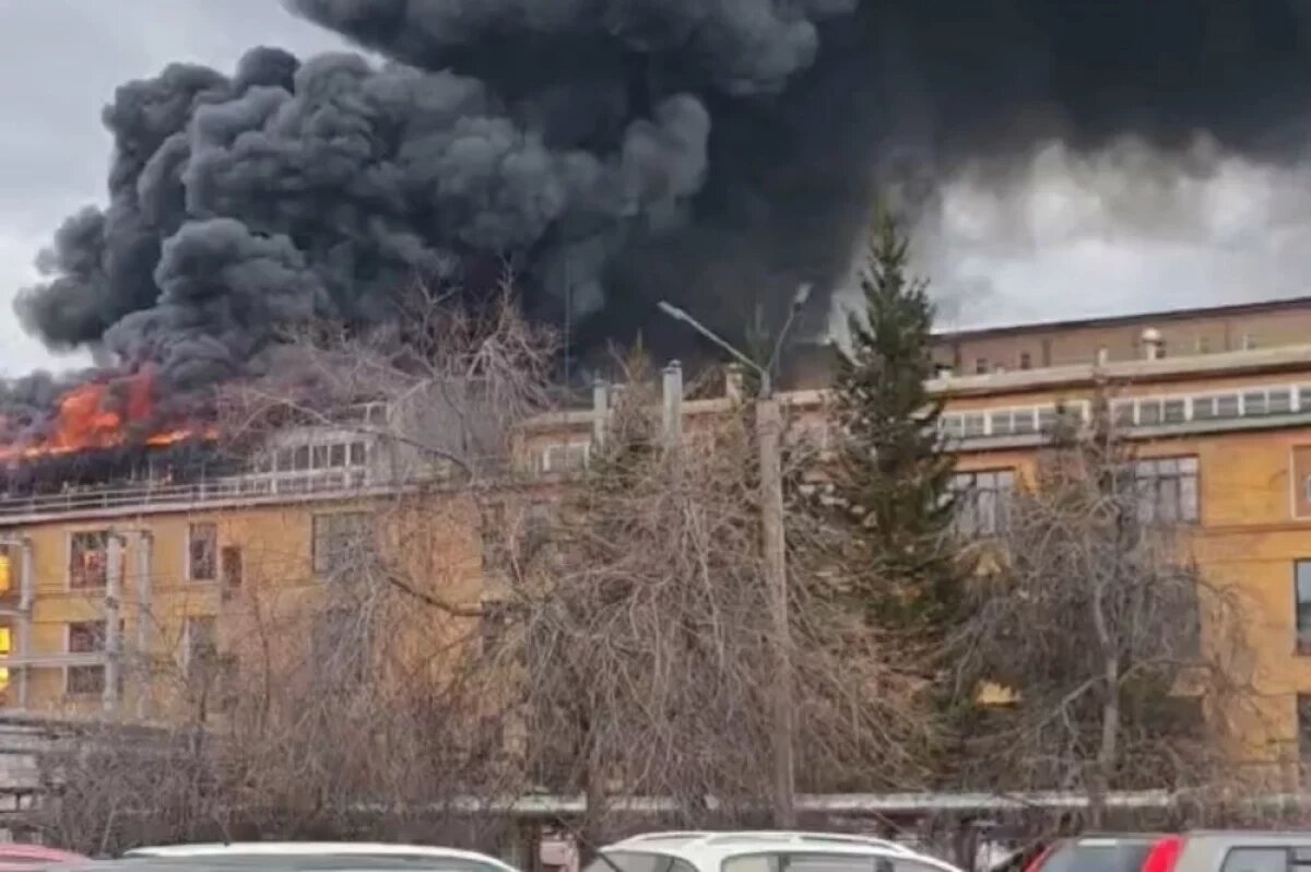    Кадр пожара на масложиркомбинате