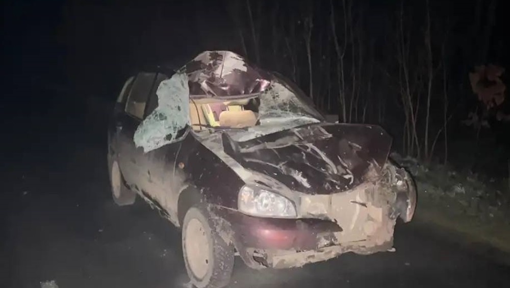    Фото: ГАИ по Брянской области