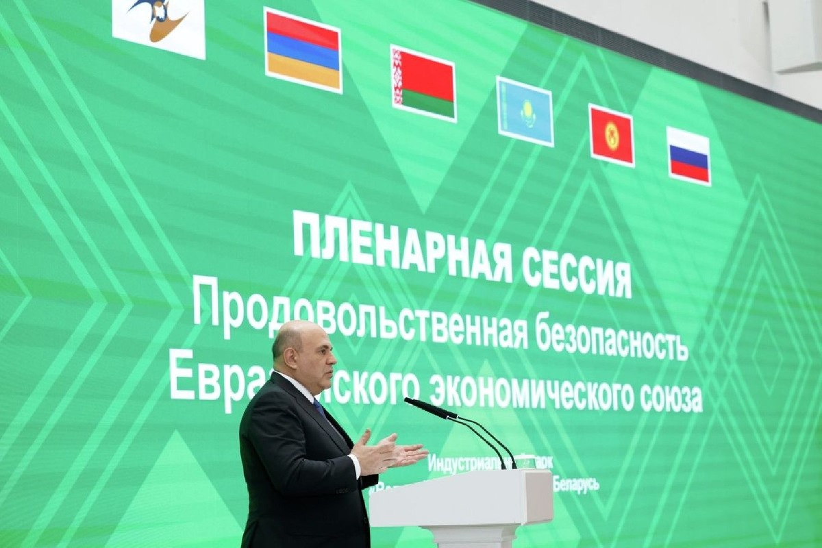   Михаил Мишустин выступает на сессии ЕАЭС (Фото: РИА Новости/Дмитрий Астахов)