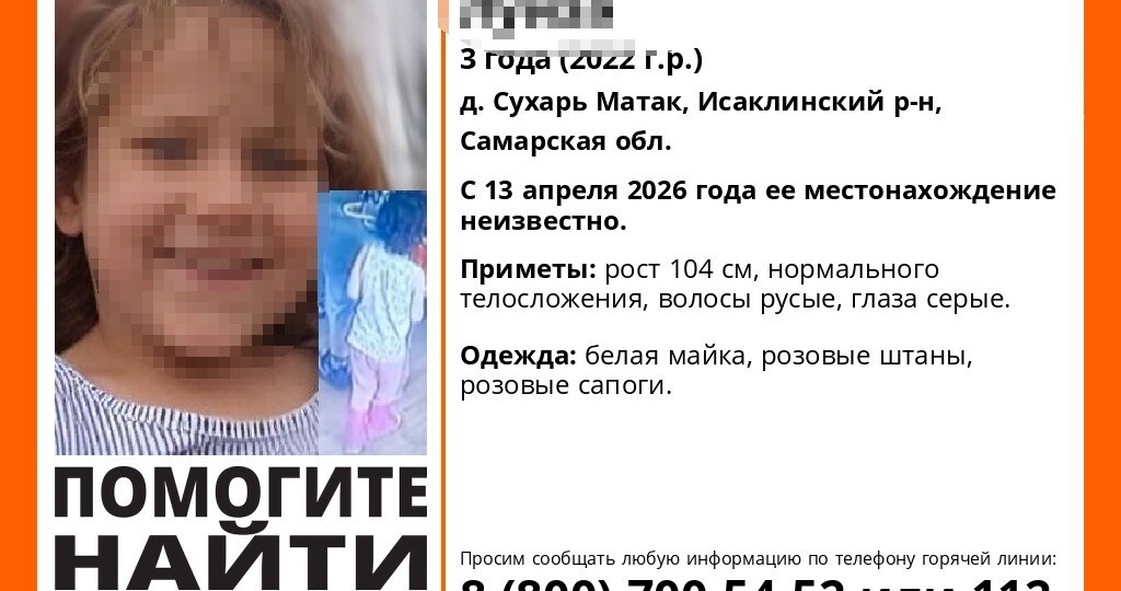 Под Самарой 200 волонтеров присоединились к поискам 3-летней девочки