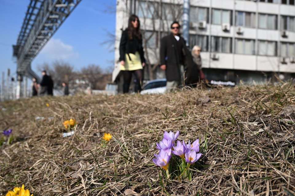    Жарче всего было на юге области: несколько станций ушли за +15 градусов. Михаил ФРОЛОВ