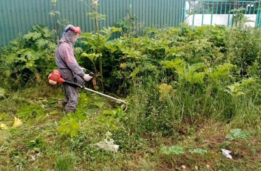 Из открытых источников