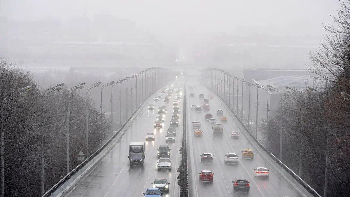    Источник: vm.ru/ Дмитрий Смирнов