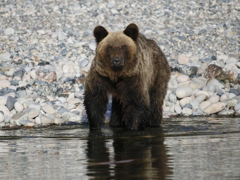 © Фото: фонд «Озеро Байкал»