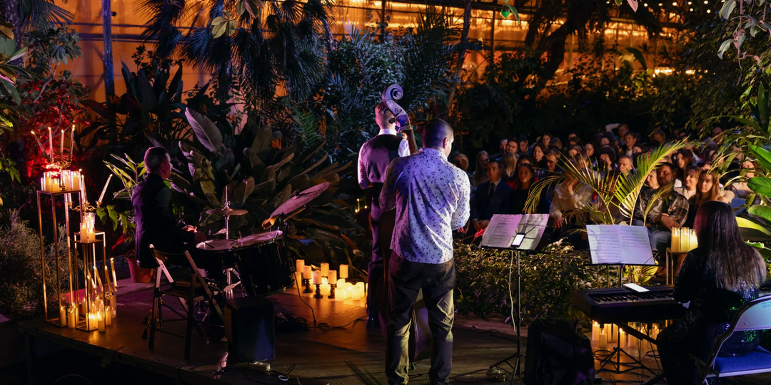 Секрет петербуржцев: концерты и экскурсии в мае с большими скидками