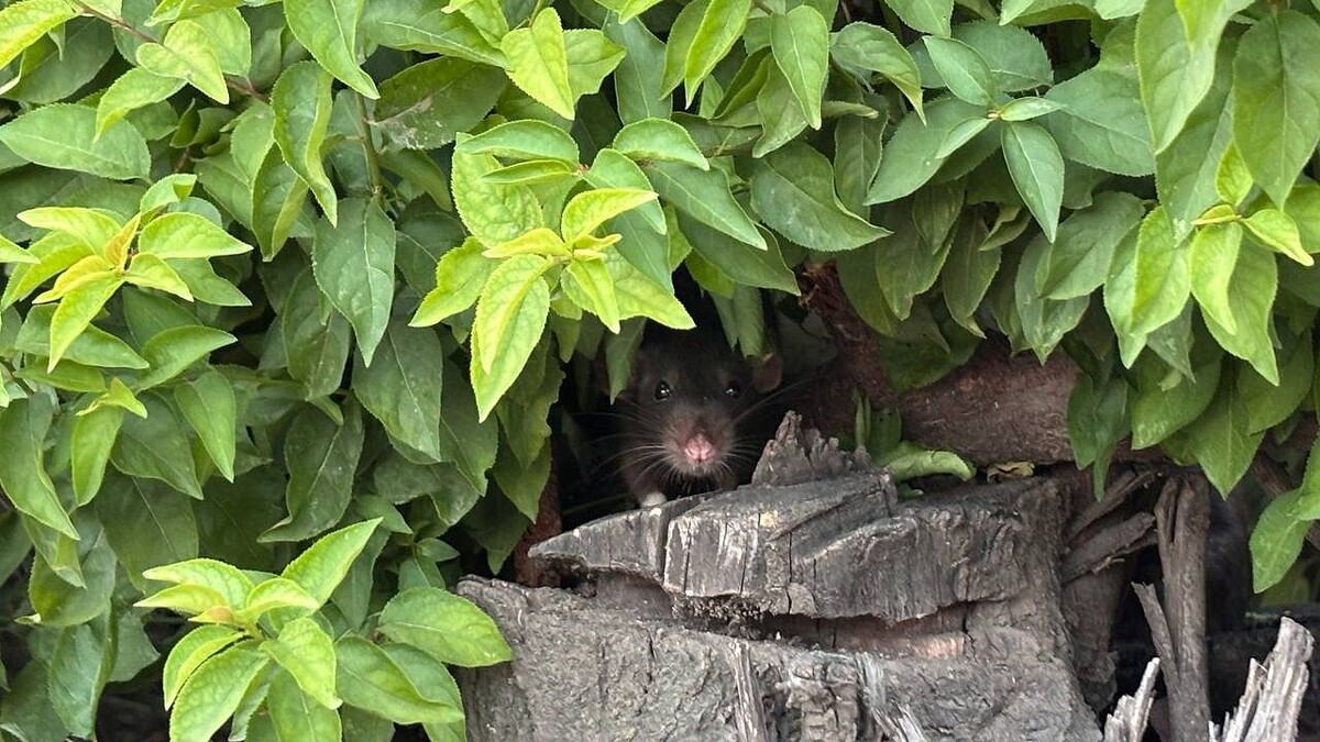    Фото: телеканал «Краснодар»