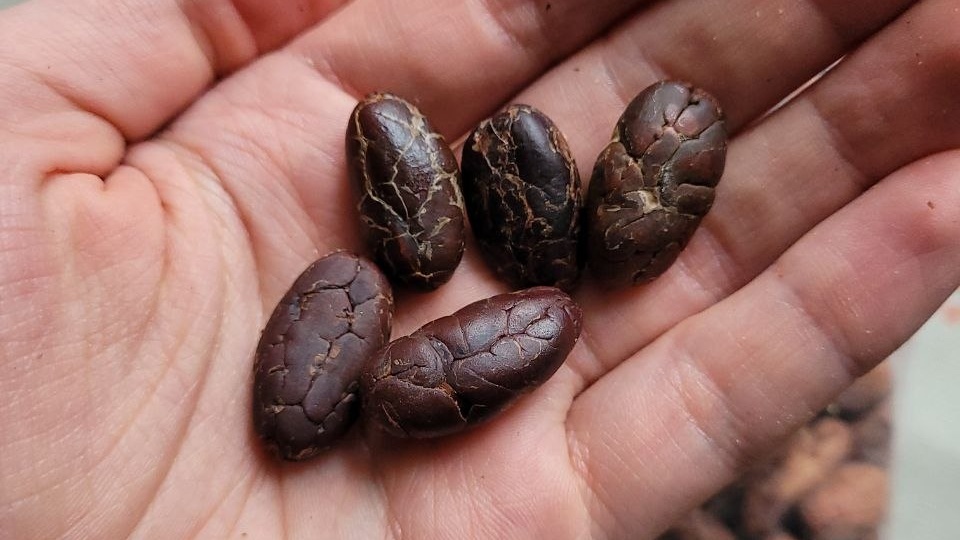 10 продуктов, которые снижают риски онкологии, но мало кто знает об этом