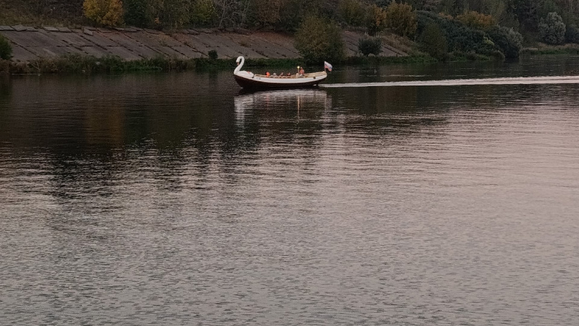    Фото progorod43.ru