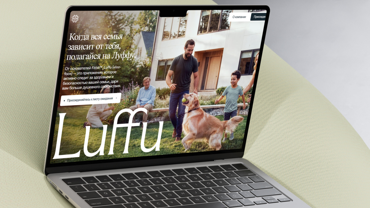 Изображение взято с сайта www.luffu.com