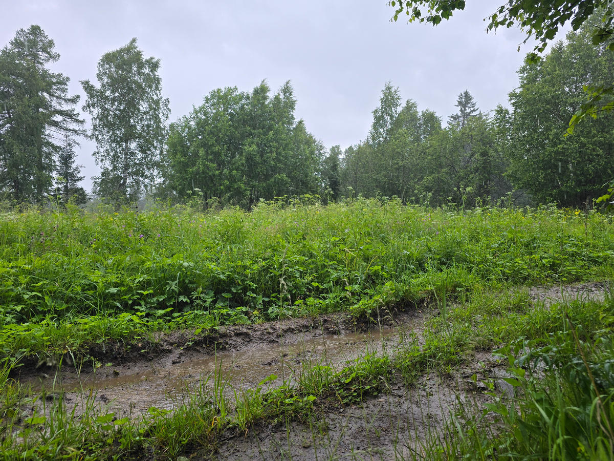 Самая грязно-мокрая дорога