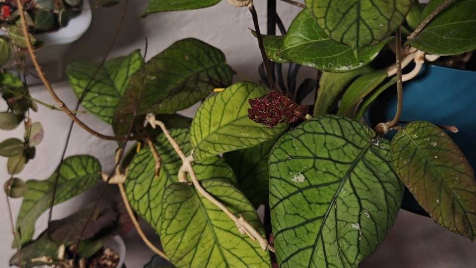 Весеннее настроение