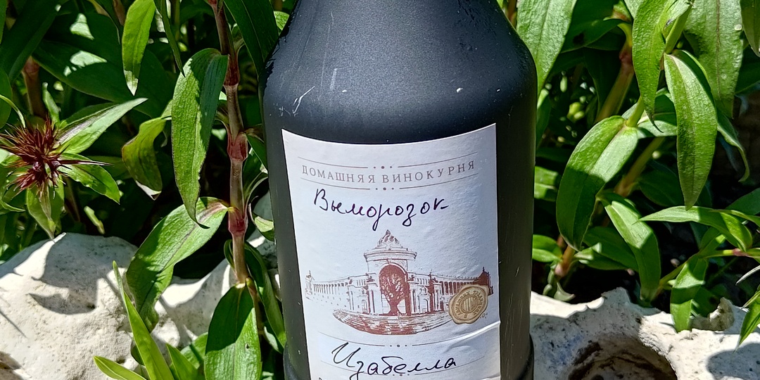 Домашние вина. Седьмой месяц.